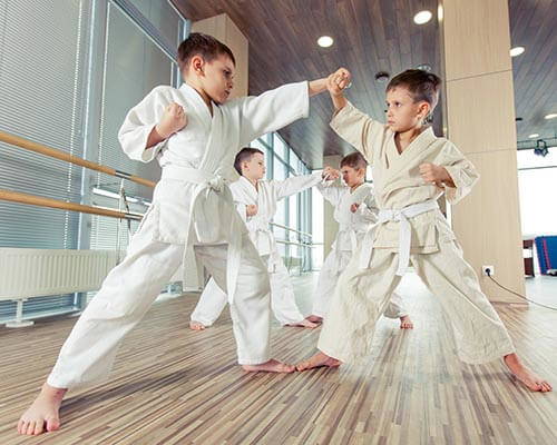PENDLE KARATE ACADEMY KIDS 3