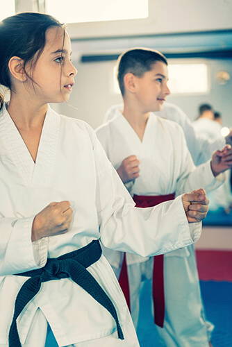 karate image 2 500px high