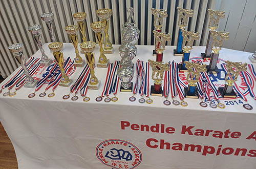 PENDLE KARATE TROPHIES